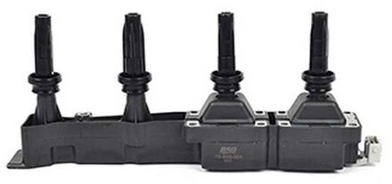 Citroen Bobine BSG70835004