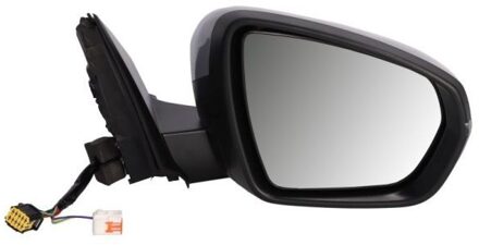 Citroen Buitenspiegel 5402081117311P