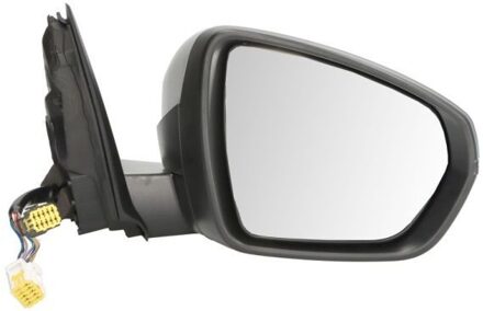 Citroen Buitenspiegel 5402081117313P