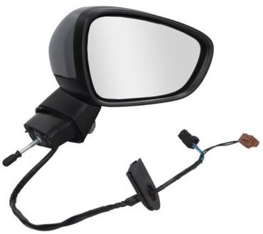 Citroen Buitenspiegel 540221039364P