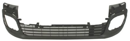 Citroen Bumper 5510000554910P
