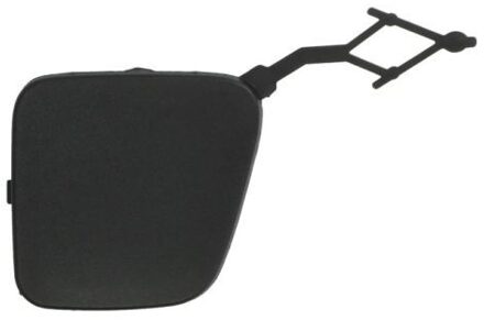 Citroen Bumperafdekking, trekhaak 5513000554923P