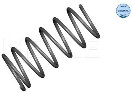 Citroen Chassisveer 40146390020