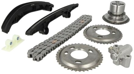 Citroen Distributiekettingset TCK200