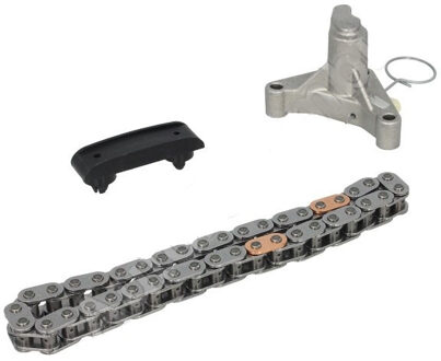 Citroen Distributiekettingset TCK205