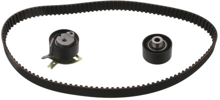 Citroen Distributieriemset 36230