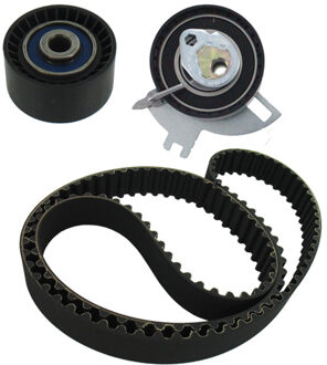 Citroen Distributieriemset VKMA03317