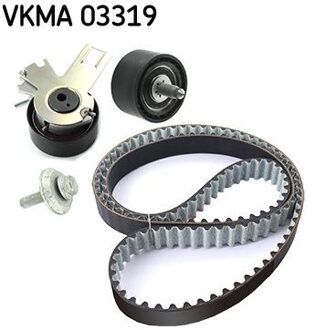 Citroen Distributieriemset VKMA03319