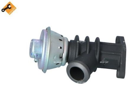 Citroen EGR-klep 48387