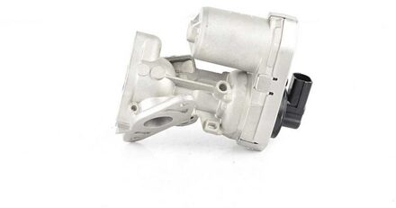 Citroen EGR-klep BSG70836004