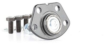 Citroen Fuseekogel BSG70310023