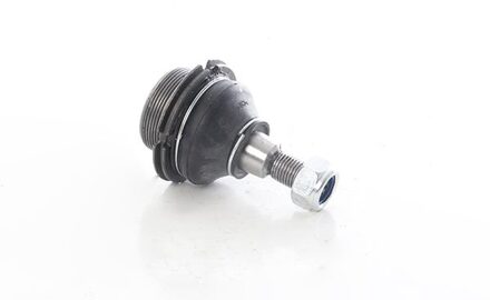 Citroen Fuseekogel BSG70310078