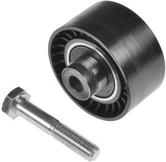 Citroen Geleide rol/omdraairol getande riem ADN17628