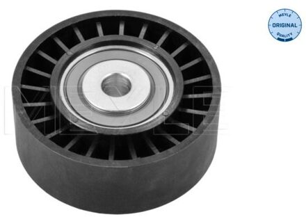 Citroen Geleide rol/omdraairol, Poly V-riem 11140090013