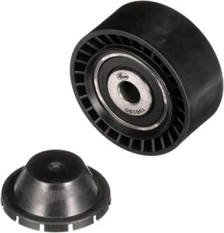 Citroen Geleide rol/omdraairol v-snaren DriveAlign® T36190