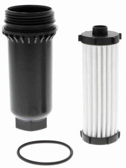Citroen Hydraulische filter, automatische transmissie V221096