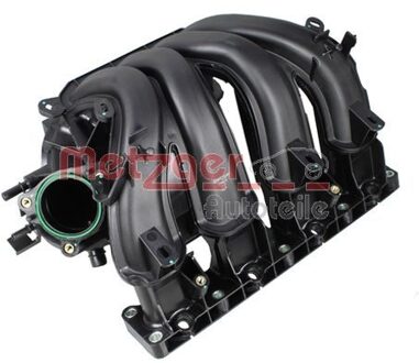 Citroen Inlaatspruitstuk 2100075