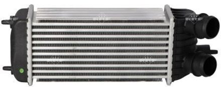Citroen Intercooler, inlaatluchtkoeler 30193