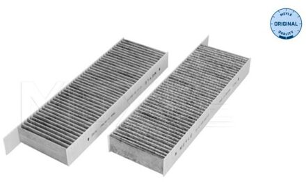 Citroen Interieurfilter 11123200017S