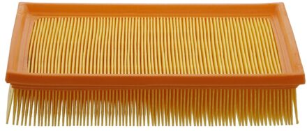 Citroen Luchtfilter 31173