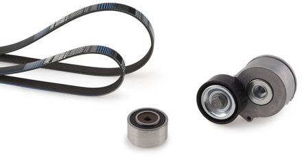 Citroen Multiriem set K146PK1183