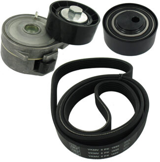 Citroen Multiriem set VKMA33152