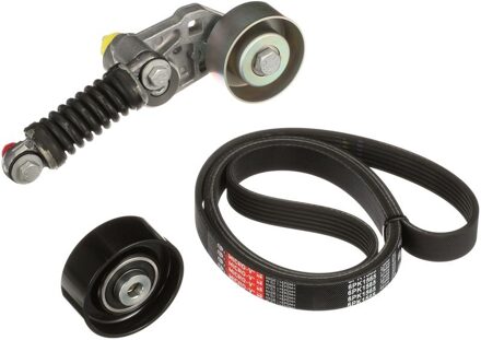 Citroen Multiriem set