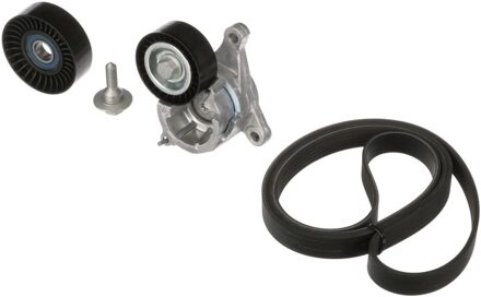 Citroen Multiriem set