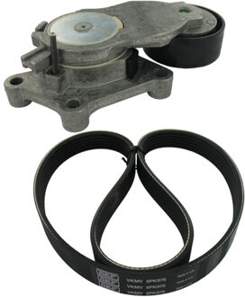 Citroen Multiriem set