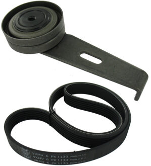 Citroen Multiriem set