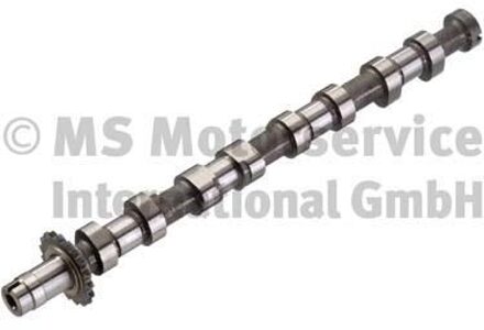 Citroen Nokkenas 50007089