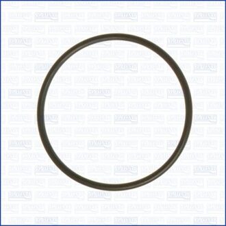 Citroen Pakking, inlaatspruitstuk 16057900