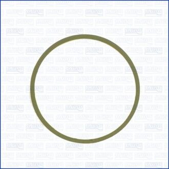 Citroen Pakking, inlaatspruitstuk 24023100