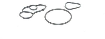 Citroen Pakking, oliefilteromkasting BSG70116001