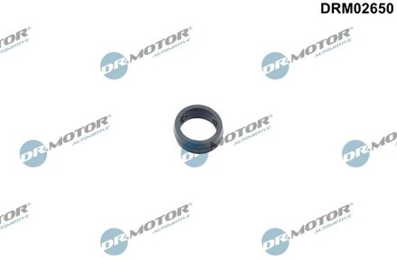 Citroen Pakking, oliefilteromkasting DRM02650