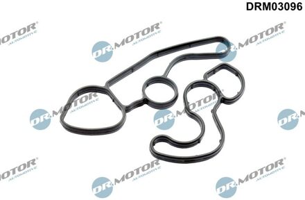 Citroen Pakking, oliefilteromkasting DRM03096