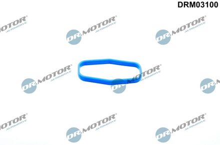 Citroen Pakking, oliepomp DRM03100