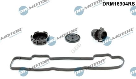Citroen Pakkingset, klepdeksel DRM16904RS