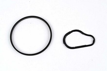 Citroen Pakkingset, onderdrukpomp BSG30235006