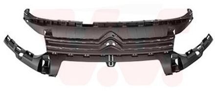 Citroen Radiateurgrille 0991510