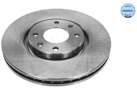 Citroen Remschijf 11155210018