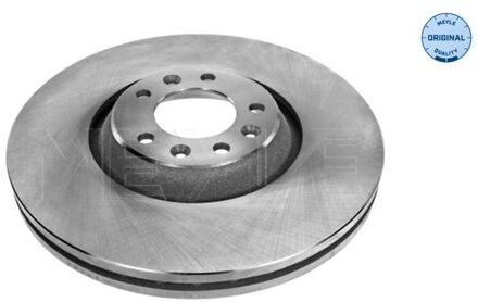 Citroen Remschijf 11155210028