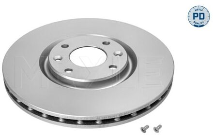 Citroen Remschijf 11155210034PD