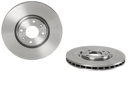 Citroen Remschijfset 09.A185.14 - 2 stuks