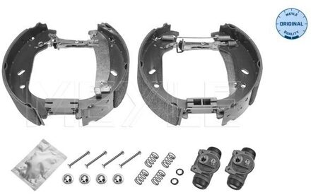Citroen Remschoenset 2145330026