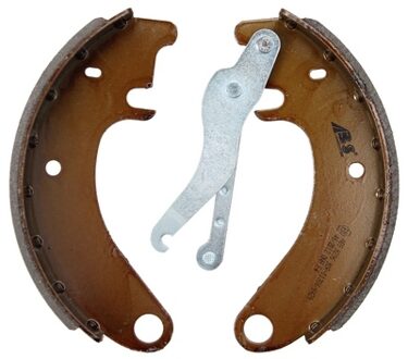 Citroen Remschoenset