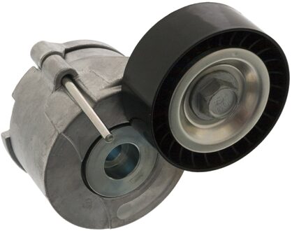 Citroen Riemspanner 48697