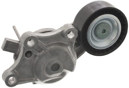 Citroen Riemspanner, poly V-riem