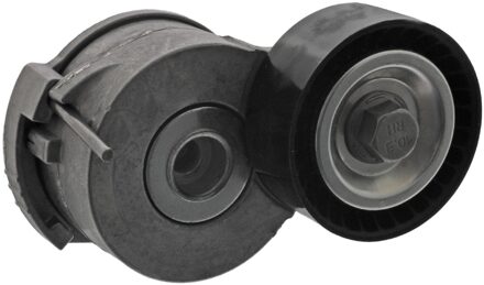 Citroen Riemspanner, poly V-riem