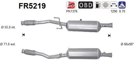 Citroen Roetfilter, uitlaatinstallatie FR5219